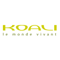 Koali